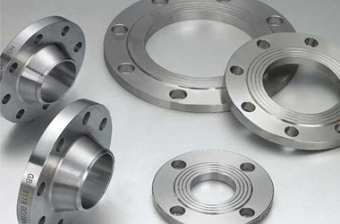 Duplex Steel UNS S32205 Flanges