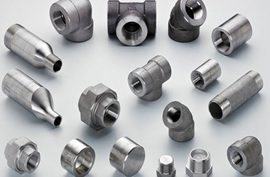 Stainless Steel 17-4PH Forged Fittings