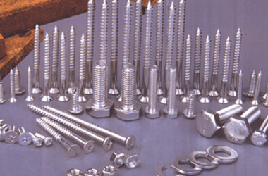 Stainless Steel 202 Fasteners