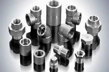 Stainless Steel 202 Forged Fittings