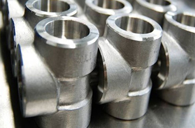 Stainless Steel 420 Forged Fittings